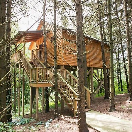 Whispering Pines Treehouse By Amish Country Lodging Millersburg Exteriör bild