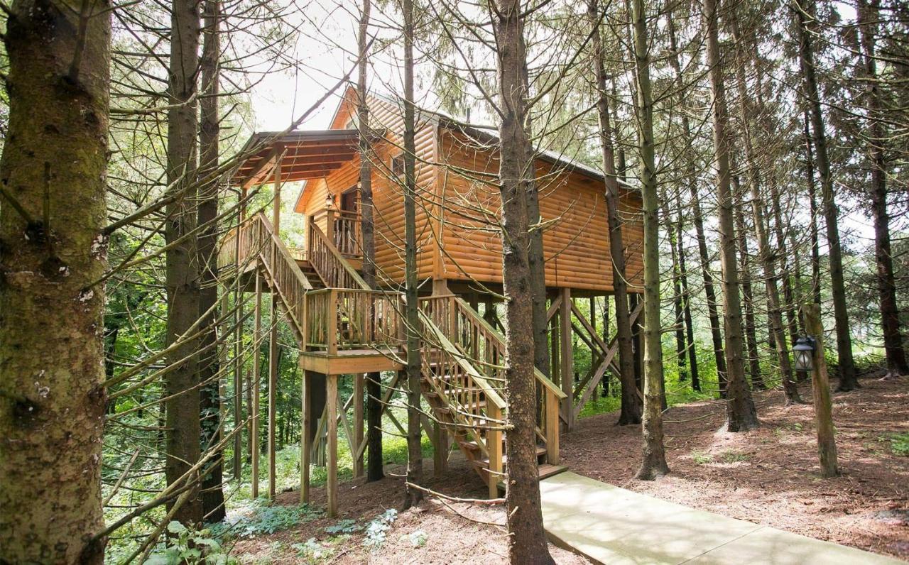Whispering Pines Treehouse By Amish Country Lodging Millersburg Exteriör bild